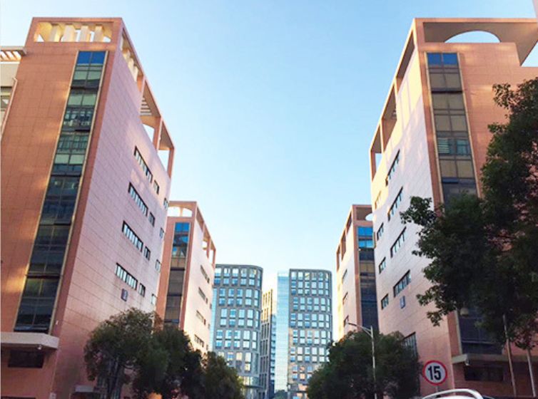 Chine Shenzhen Lansedadi Technology Co.Ltd Profil d'entreprise 